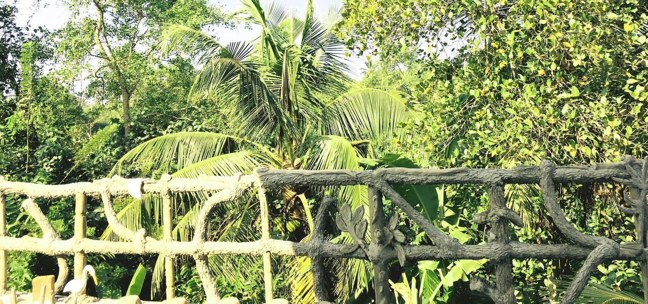 Galle Paradise Inn Zewnętrze zdjęcie